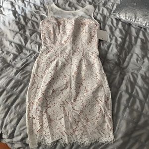 Lace mini dress with nude lining